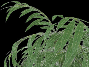 bamboo low-poly 3Dモデル