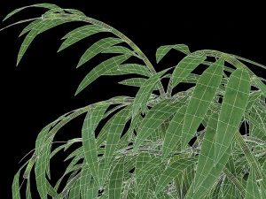 bamboo low-poly 3D Model