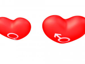 heart model for lovers with he and she textures 3D Model