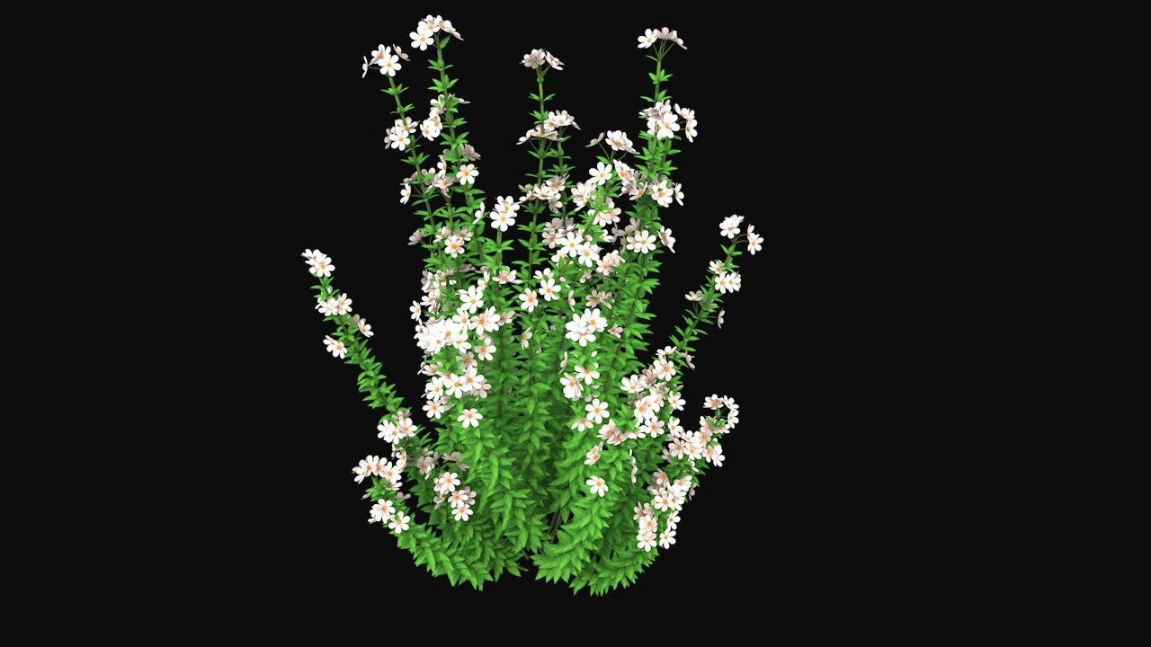 Realistic forest flowers Low-poly 3D Model .c4d .max .obj .3ds .fbx .stl .blend