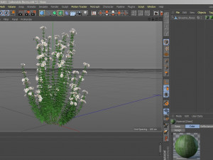 Realistic forest flowers Low-poly Modelo 3D