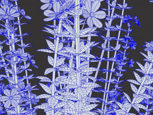 Realistic forest flowers Low-poly Modelo 3D