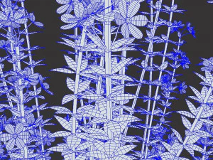 Realistic forest flowers Low-poly 3D Model