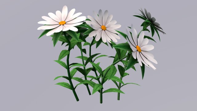 White Chamomiles Flowers Low poly Game ready 3D Model .c4d .max .obj .3ds .fbx .stl .blend 