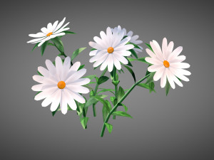 White Chamomiles Flowers Low poly Game ready 3D Model