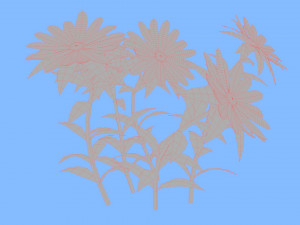 White Chamomiles Flowers Low poly Game ready 3D Model