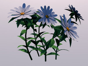 White Chamomiles Flowers Low poly Game ready 3D Model