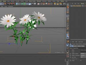 White Chamomiles Flowers Low poly Game ready 3D Model