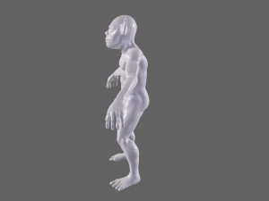 Goblin base mesh 3D Model