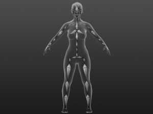 Realistic Asian Woman rigged 3D Модель