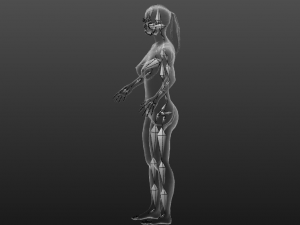 Realistic Asian Woman rigged 3D Модель