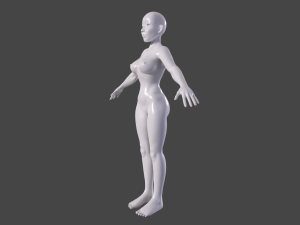 Female Body Basemesh for sculpting Model 3D
