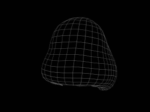 High poly and Low poly HAIR Base Mesh 3D Model