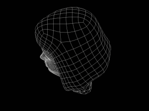 Stylized Female Hair 3D Model