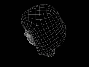 Stylized Female Hair 3D Model