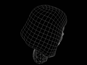 Stylized Female Hair 3D Model