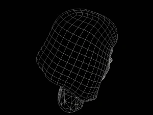 Stylized Female Hair 3D Model