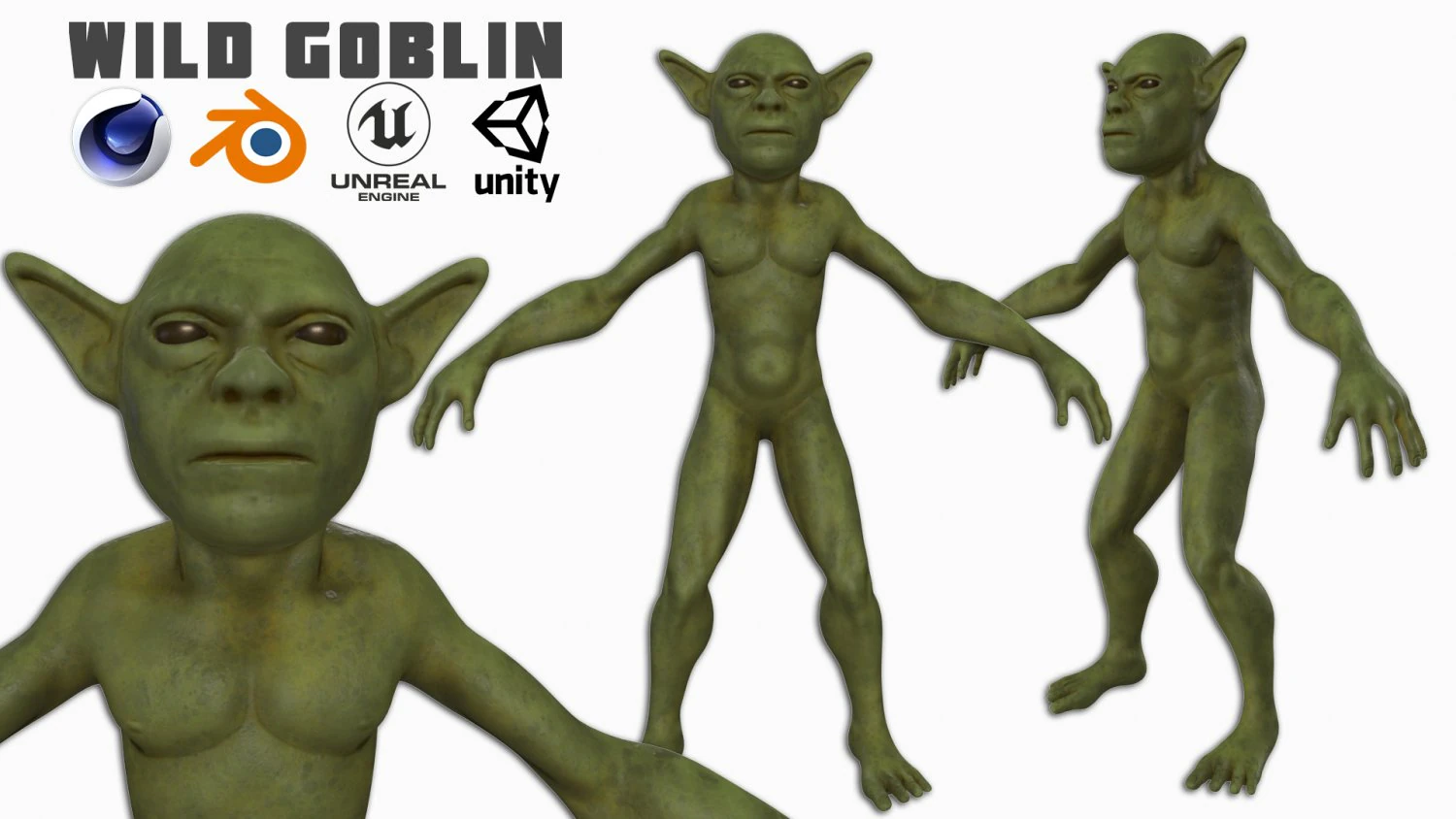 Wild Goblin with control rig I Epic skeleton 3D Model .c4d .max .obj .3ds .fbx .stl .blend 