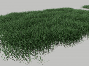 3D Grass Lawn Collection - 5 Varieties for Diverse Landscaping 3D-Modell