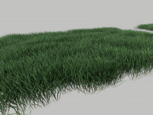 3D Grass Lawn Collection - 5 Varieties for Diverse Landscaping 3D-Modell