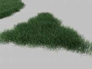 3D Grass Lawn Collection - 5 Varieties for Diverse Landscaping 3D-Modell