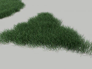 3D Grass Lawn Collection - 5 Varieties for Diverse Landscaping 3D Model