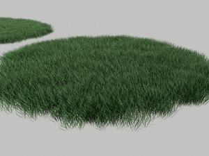 3D Grass Lawn Collection - 5 Varieties for Diverse Landscaping 3D-Modell