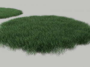 3D Grass Lawn Collection - 5 Varieties for Diverse Landscaping 3D Model
