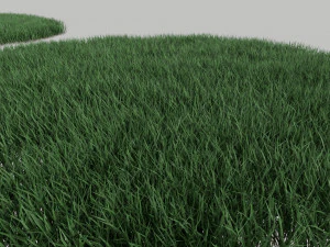3D Grass Lawn Collection - 5 Varieties for Diverse Landscaping 3D Model
