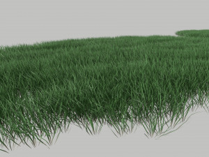 3D Grass Lawn Collection - 5 Varieties for Diverse Landscaping 3D-Modell