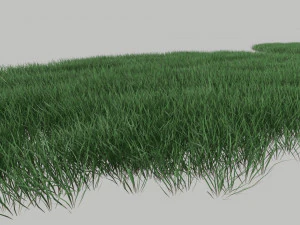 3D Grass Lawn Collection - 5 Varieties for Diverse Landscaping 3D Model