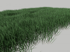 3D Grass Lawn Collection - 5 Varieties for Diverse Landscaping 3D-Modell