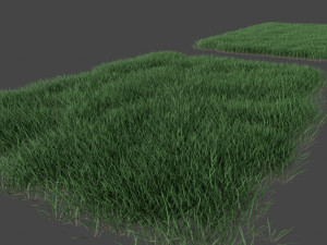 3D Grass Lawn Collection - 5 Varieties for Diverse Landscaping 3D-Modell