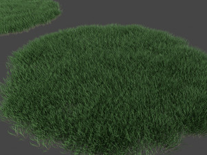 3D Grass Lawn Collection - 5 Varieties for Diverse Landscaping 3D-Modell