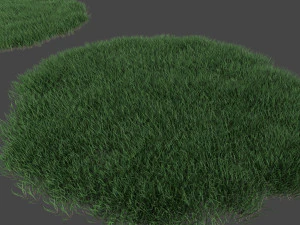 3D Grass Lawn Collection - 5 Varieties for Diverse Landscaping 3D Model