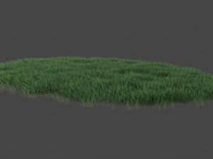 3D Grass Lawn Collection - 5 Varieties for Diverse Landscaping 3D-Modell