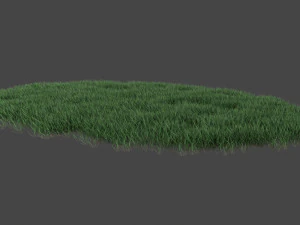 3D Grass Lawn Collection - 5 Varieties for Diverse Landscaping 3D Model
