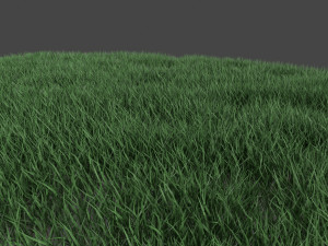 3D Grass Lawn Collection - 5 Varieties for Diverse Landscaping 3D-Modell