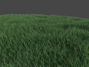 3D Grass Lawn Collection - 5 Varieties for Diverse Landscaping 3D Model