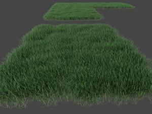 3D Grass Lawn Collection - 5 Varieties for Diverse Landscaping 3D-Modell