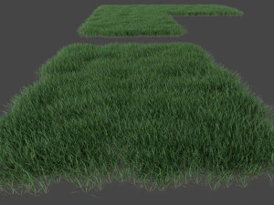 3D Grass Lawn Collection - 5 Varieties for Diverse Landscaping 3D Model