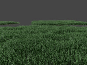 3D Grass Lawn Collection - 5 Varieties for Diverse Landscaping 3D-Modell