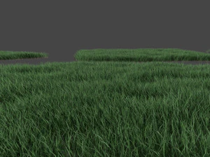 3D Grass Lawn Collection - 5 Varieties for Diverse Landscaping 3D Model