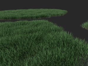 3D Grass Lawn Collection - 5 Varieties for Diverse Landscaping 3D-Modell