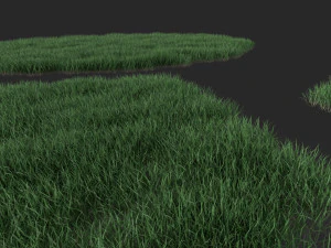 3D Grass Lawn Collection - 5 Varieties for Diverse Landscaping 3D Model
