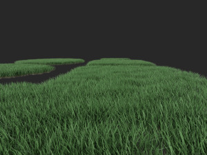 3D Grass Lawn Collection - 5 Varieties for Diverse Landscaping 3D-Modell