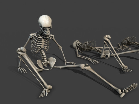 Dungeon Skeletons and Bones 3D मॉडल