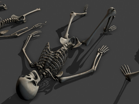 Dungeon Skeletons and Bones 3D मॉडल