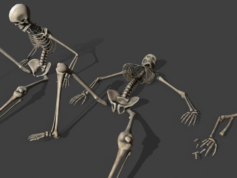 Dungeon Skeletons and Bones 3D मॉडल