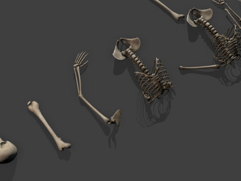 Dungeon Skeletons and Bones 3D मॉडल